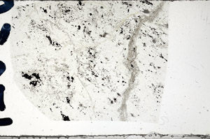 Plane Polarized, N7252