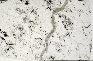 Plane Polarized, N7252/A