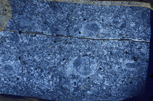 Cross Polarized, N7262