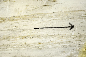 Plane Polarized, N7268