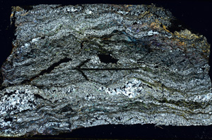 Cross Polarized, N7269