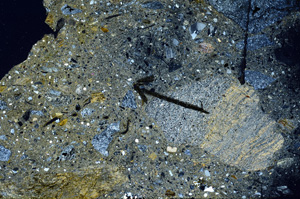 Cross Polarized, N7270