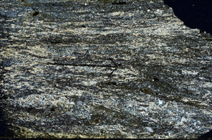 Cross Polarized, N7271