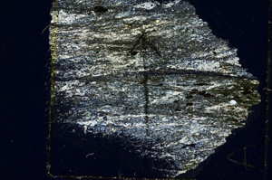 Cross Polarized, N7271/A