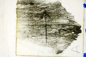 Plane Polarized, N7271/A