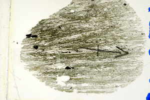 Plane Polarized, N7271/B