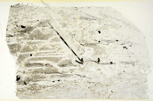 Plane Polarized, N7272