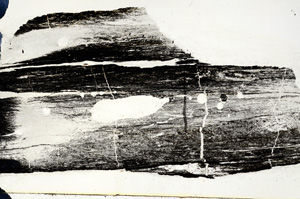 Plane Polarized, N7273