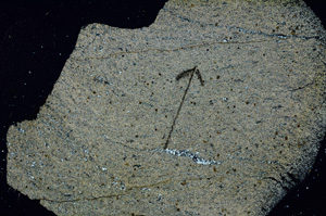 Cross Polarized, N7276