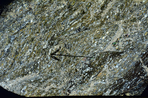 Cross Polarized, N7278/A