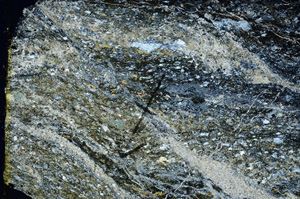 Cross Polarized, N7278/B