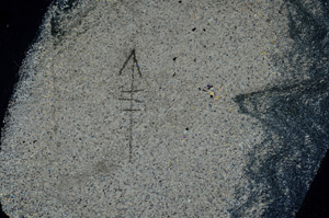 Cross Polarized, N7281