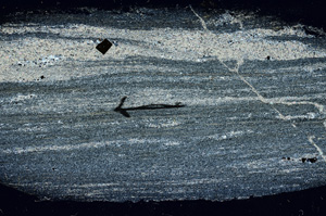 Cross Polarized, N7281/A