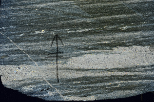 Cross Polarized, N7281/C