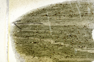 Plane Polarized, N7284