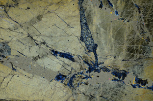 Cross Polarized, N7291