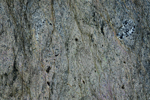 Cross Polarized, N7310