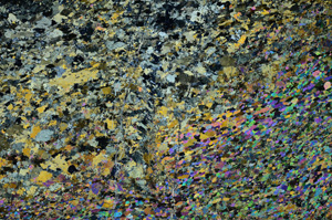 Cross Polarized, N7314