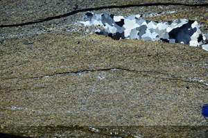 Cross Polarized, N7316