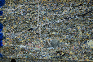 Cross Polarized, N7319