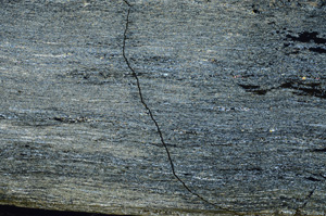 Cross Polarized, N7325