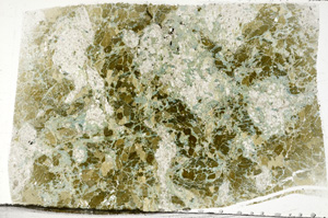 Plane Polarized, N7331
