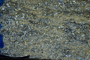 Cross Polarized, N7333