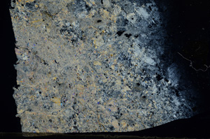 Cross Polarized, N7335
