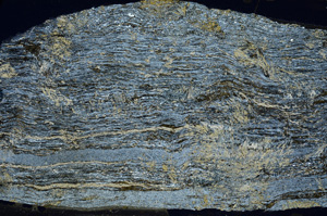 Cross Polarized, N7339