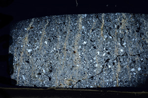 Cross Polarized, N7349