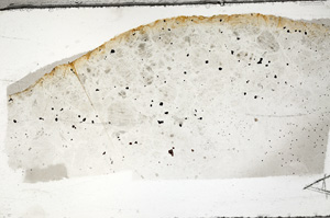 Plane Polarized, N7350/A