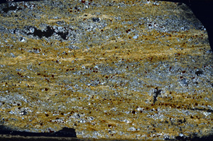 Cross Polarized, N7355