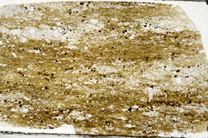 Plane Polarized, N7355