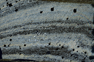 Cross Polarized, N7356