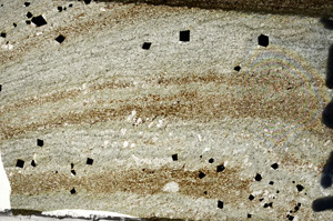 Plane Polarized, N7356