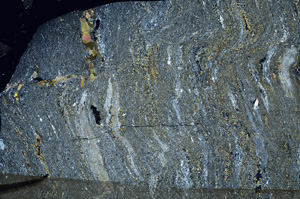 Cross Polarized, N7359