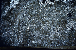 Cross Polarized, N7362