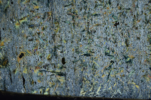 Cross Polarized, N7367