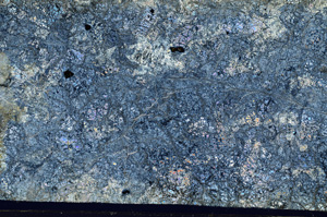Cross Polarized, N7372/A