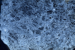 Cross Polarized, N7377