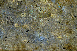 Cross Polarized, N7378