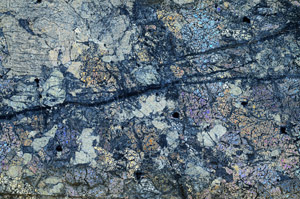 Cross Polarized, N7386
