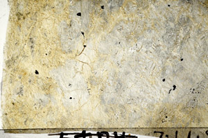 Plane Polarized, N7388