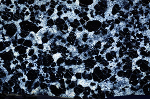 Cross Polarized, N7391