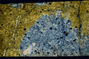 Cross Polarized, N7394