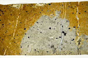 Plane Polarized, N7394
