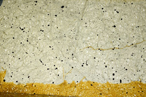 Plane Polarized, N7398