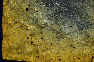 Cross Polarized, N7399