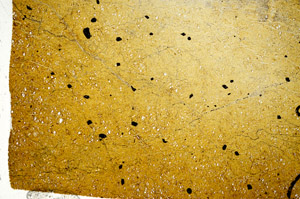 Plane Polarized, N7399