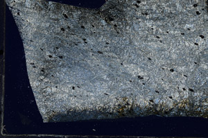 Cross Polarized, N7405